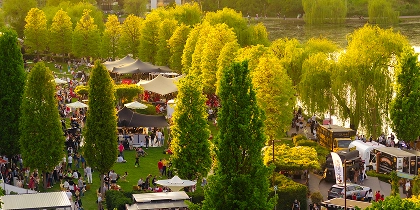 Proces de bioremediere